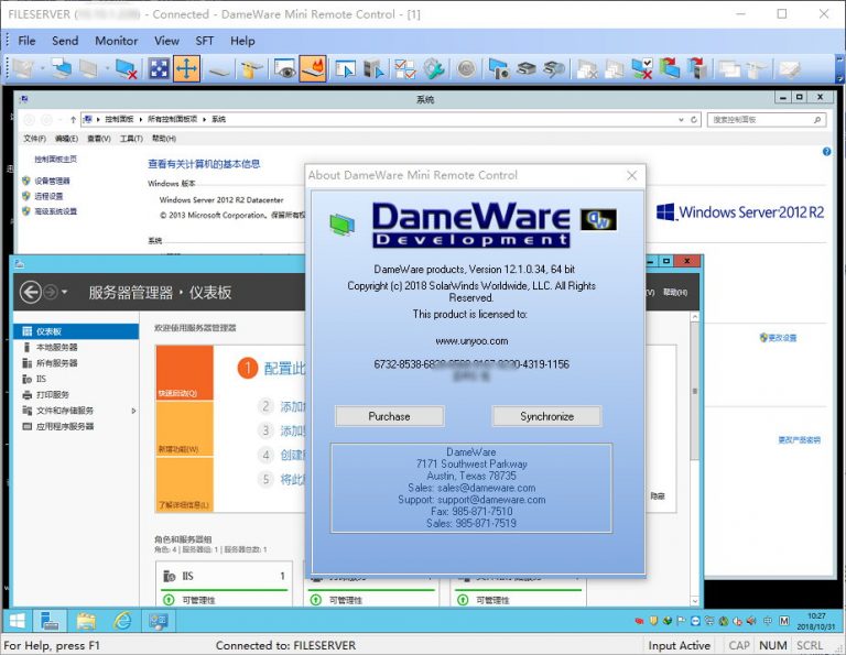 DameWare Mini Remote Control 12.3.0.12 download the new version for ipod